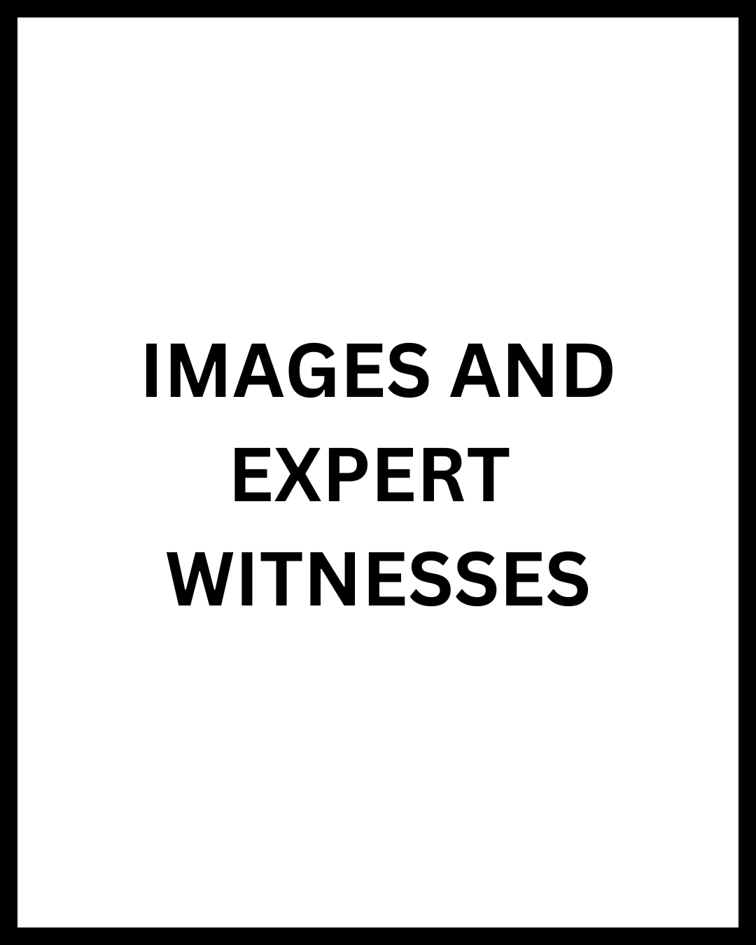images and expert witnesses (1)